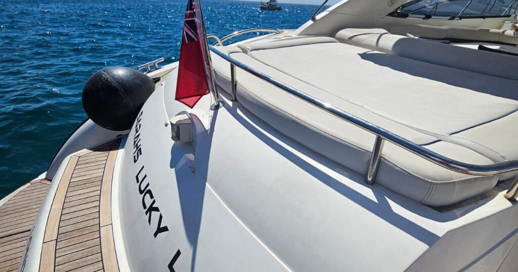 WhatsApp Image 2024-01-24 at 11_10_56